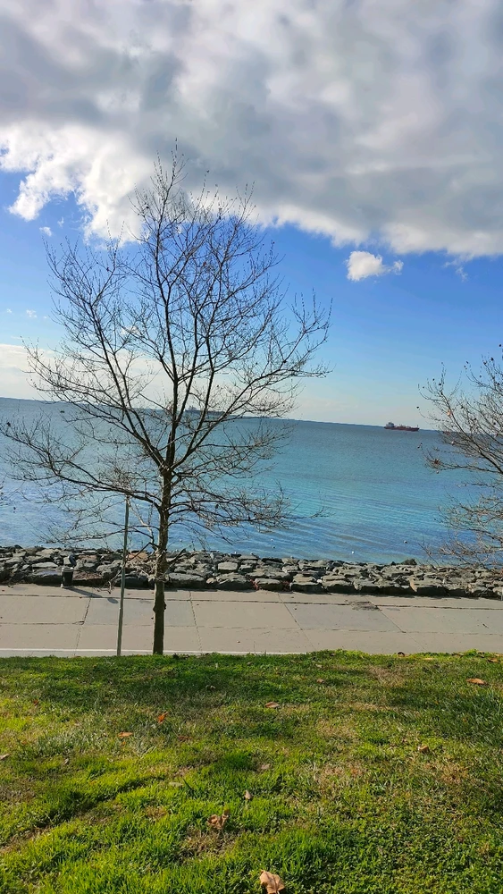 Image uploaded by Yellow