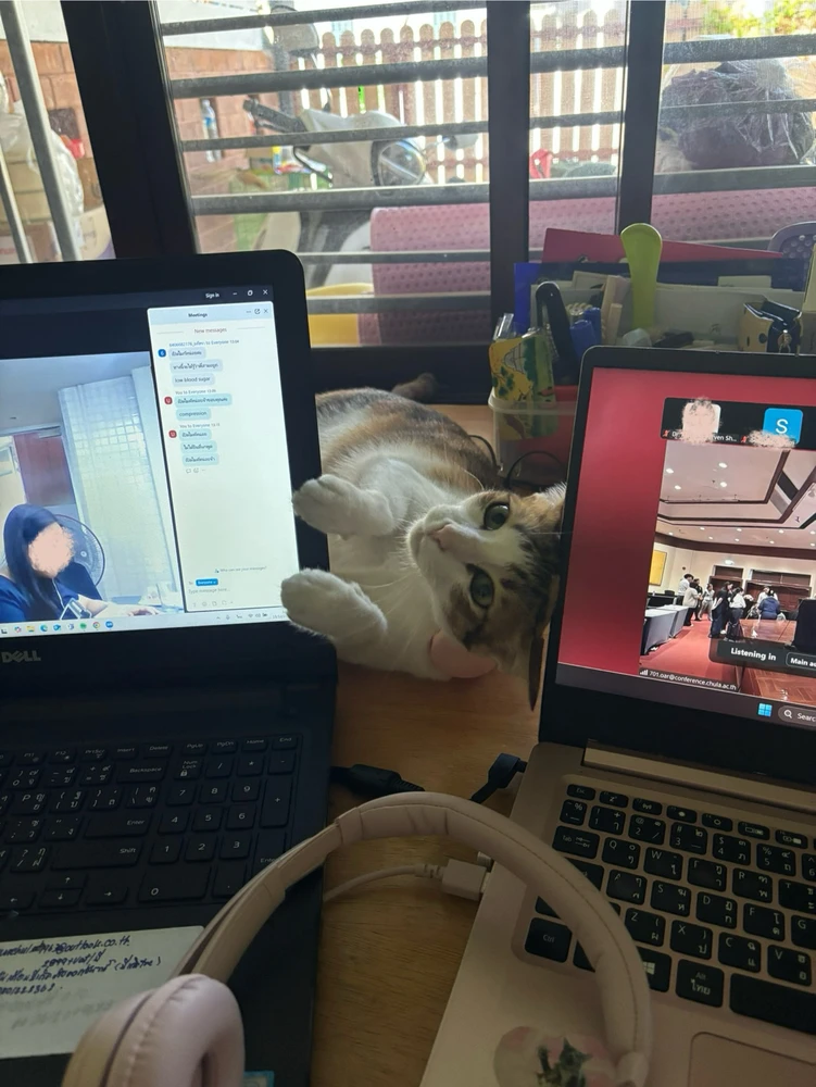 GIF diunggah dening Pat♡