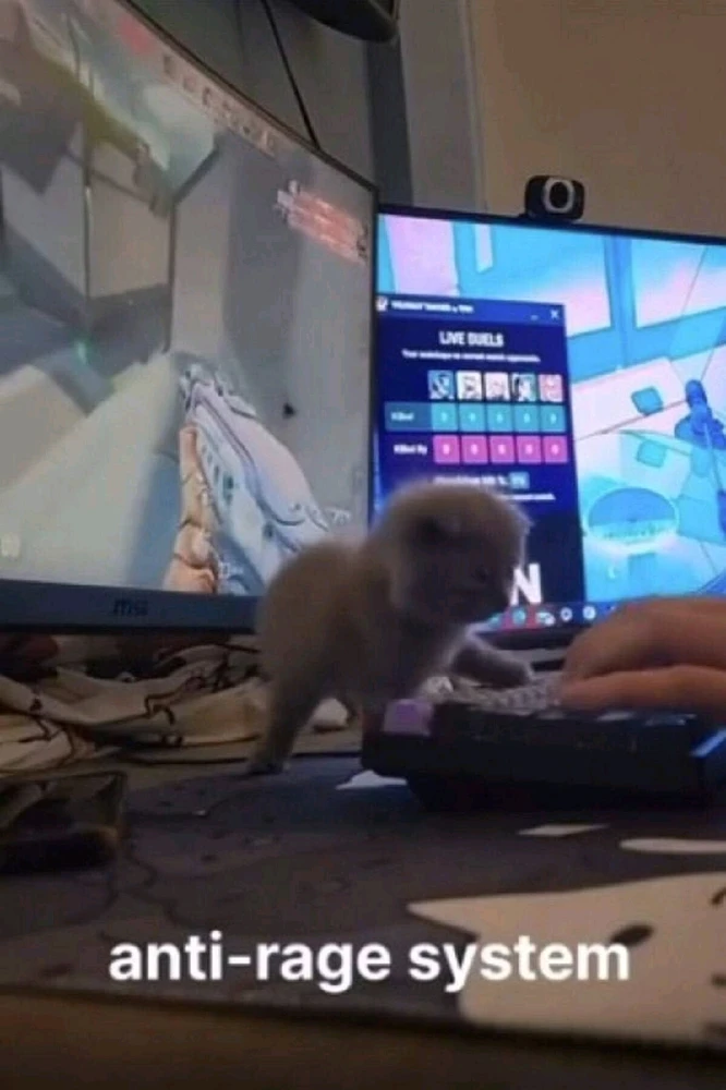 GIF uploaded by Ronen