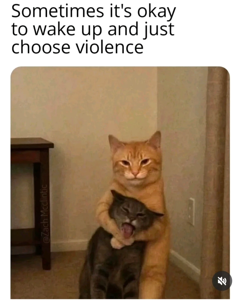 GIF uploaded by Porscha