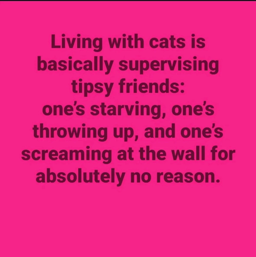 GIF diunggah dening Allison