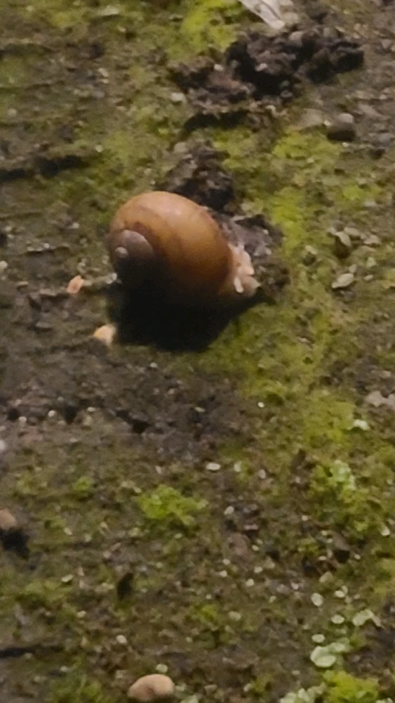 GIF diunggah dening Robert Wolf