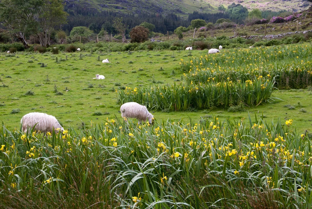 GIF uploaded by Dmitry