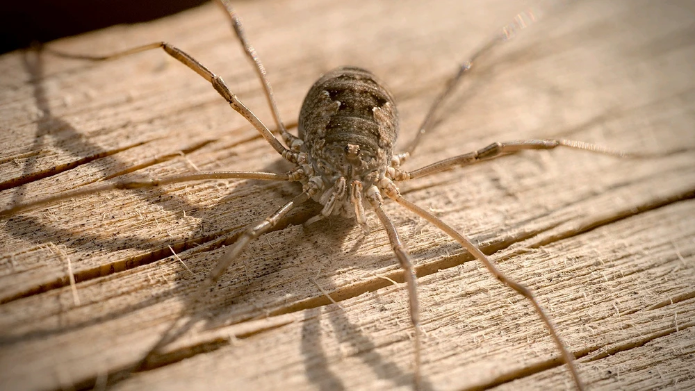 GIF uploaded by Logan