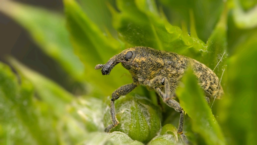 GIF uploaded by Logan