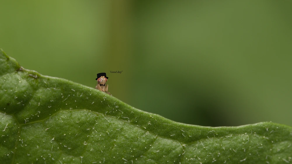 GIF uploaded by Logan