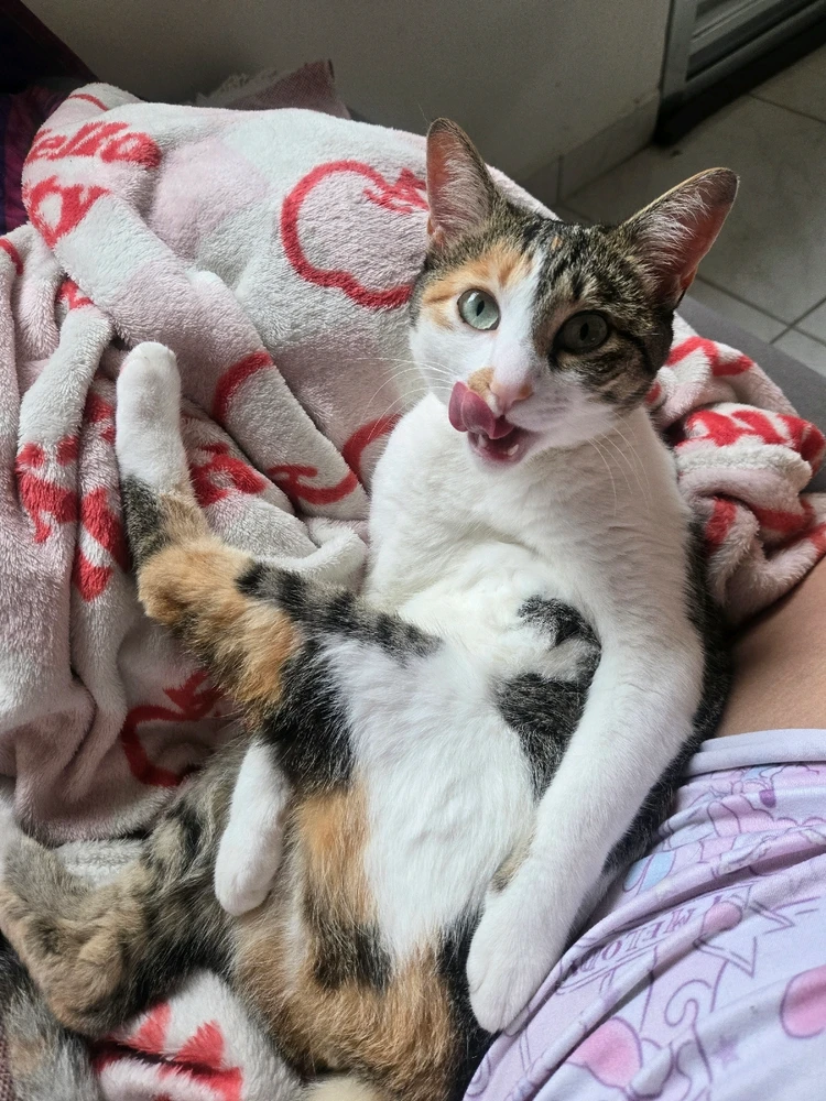 GIF enviado por Beatriz