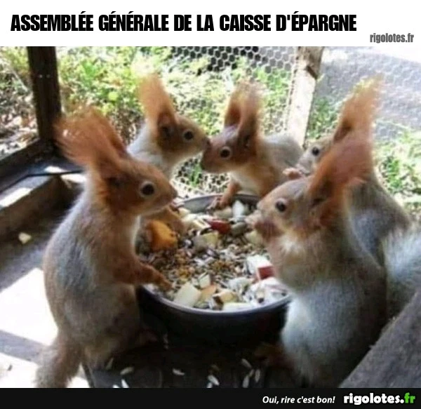 GIF ajouté par Cyrill