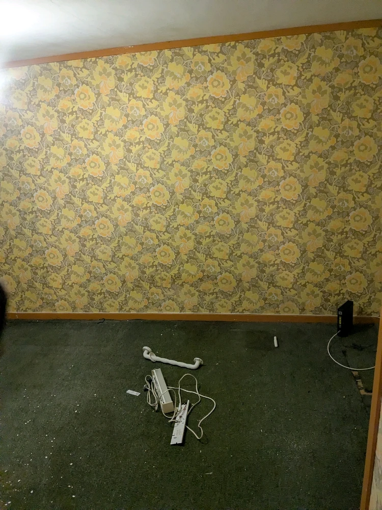 Image uploaded by Connor