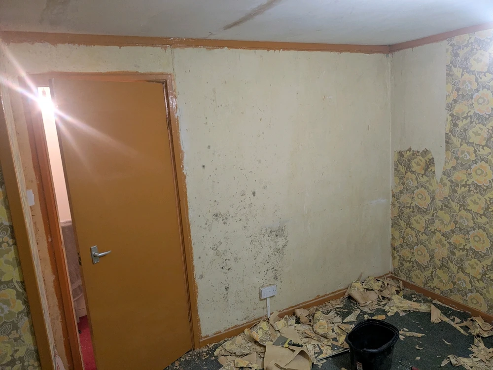 Image uploaded by Connor