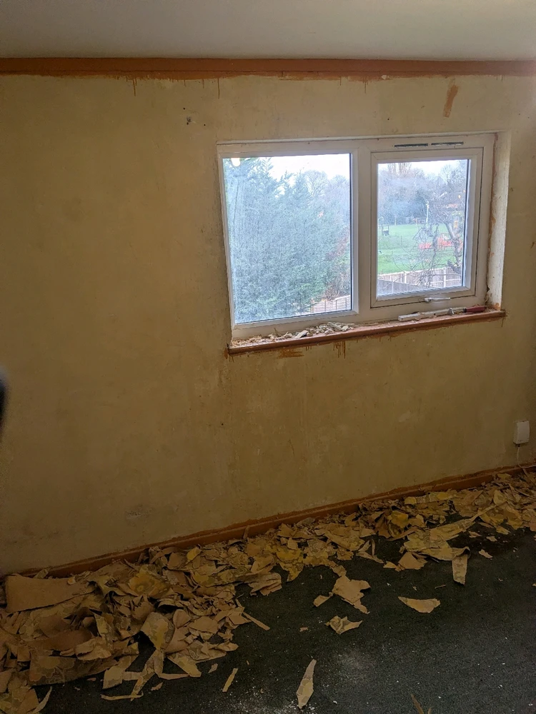 Image uploaded by Connor