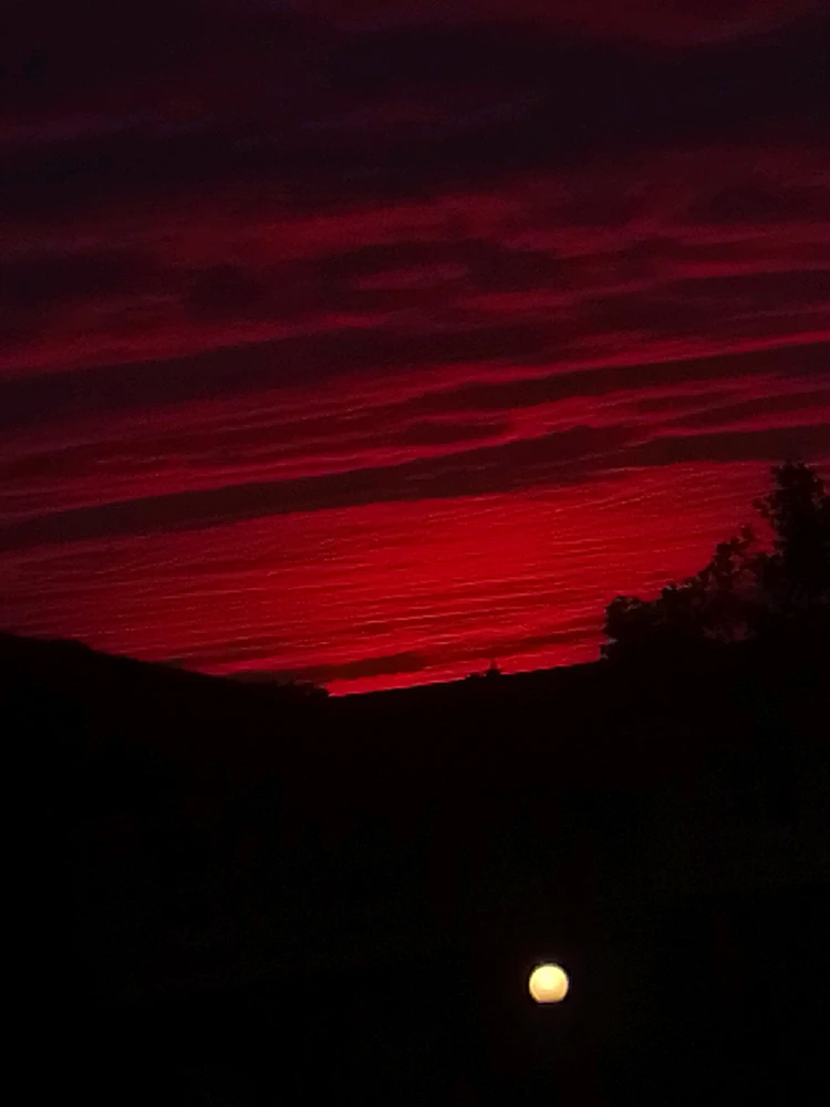 GIF uploaded by Patrick Jones