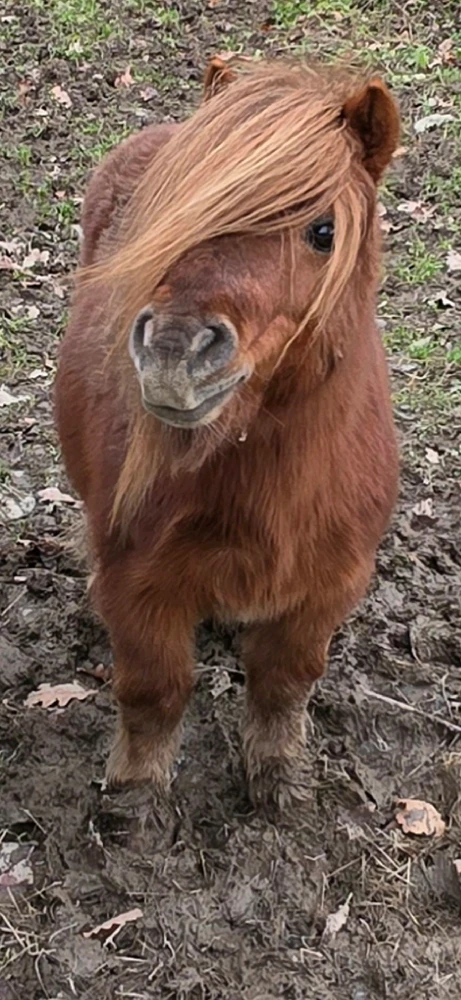 Image uploaded by Dan