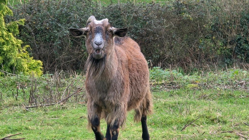 Image uploaded by Dan