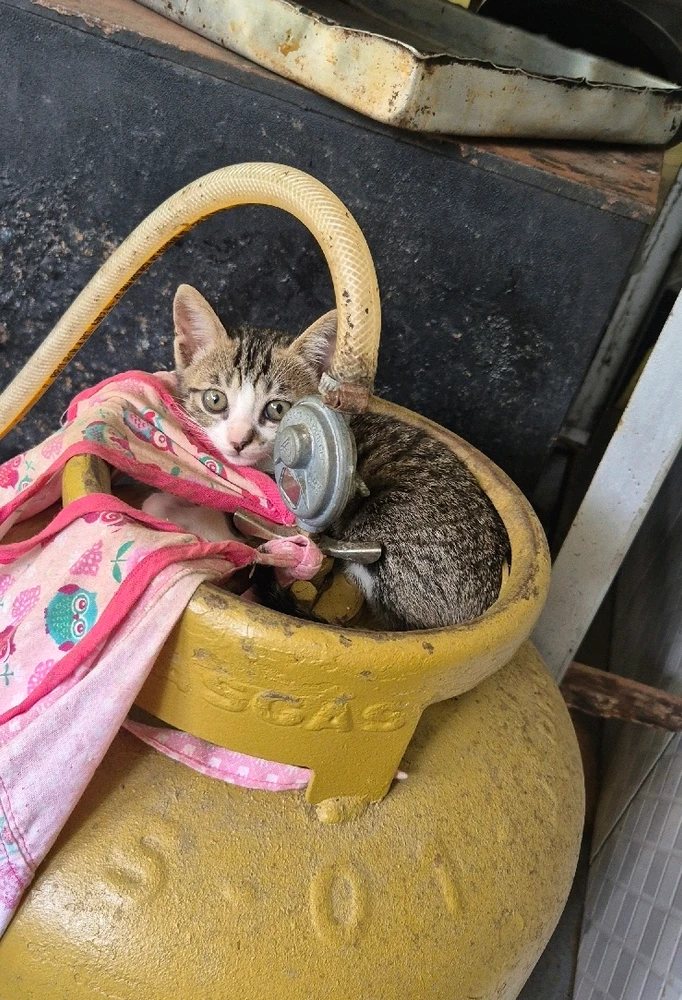 GIF diunggah dening Ana Beatriz