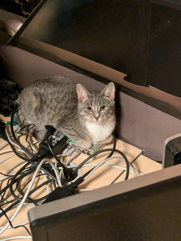 GIF diunggah dening Molly