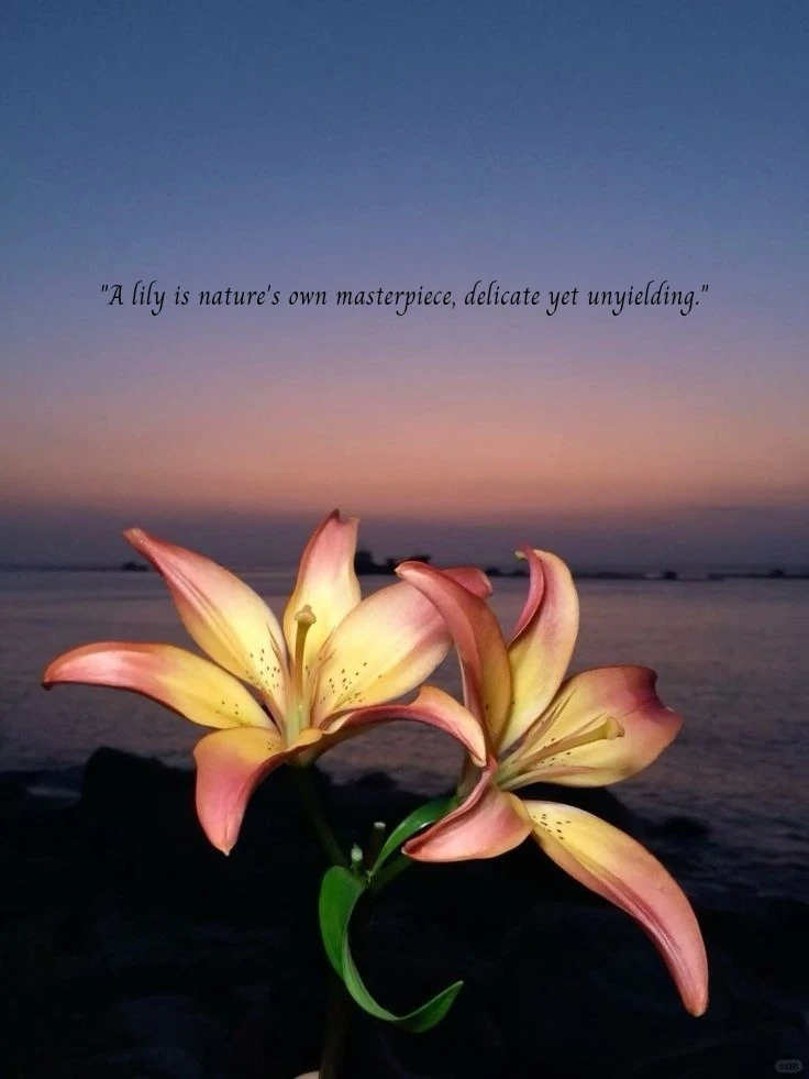 GIF diunggah dening Sejal