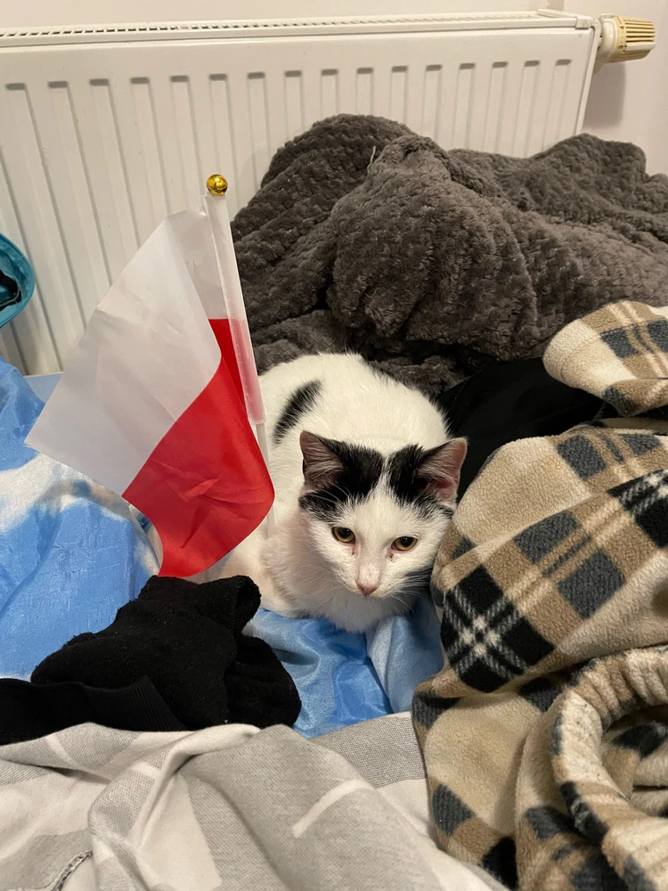 GIF diunggah dening Nadir