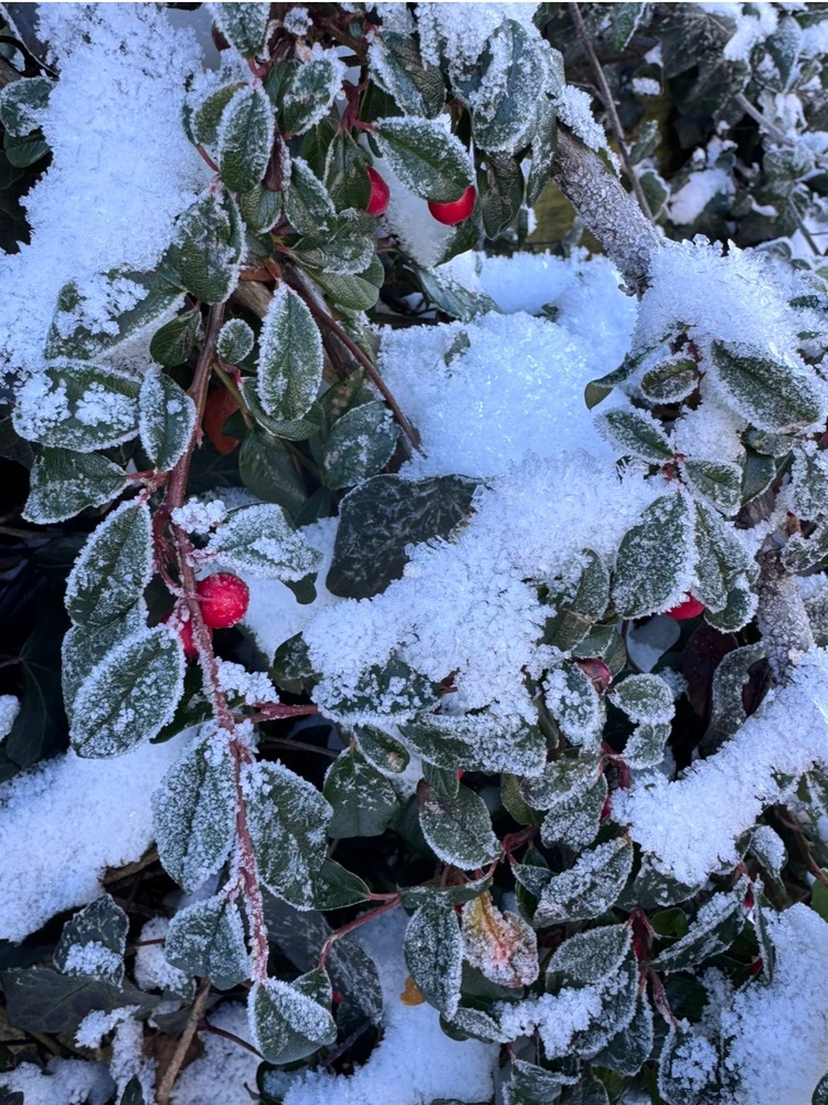 GIF uploaded by Ricarda