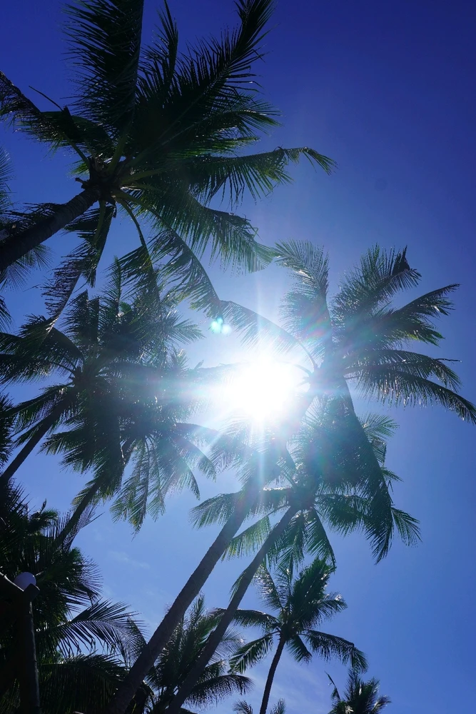 Image uploaded by Juuunneeeyy