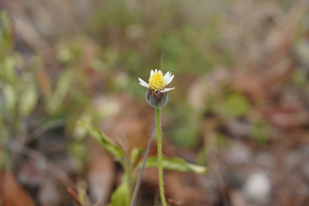 Image uploaded by Juuunneeeyy