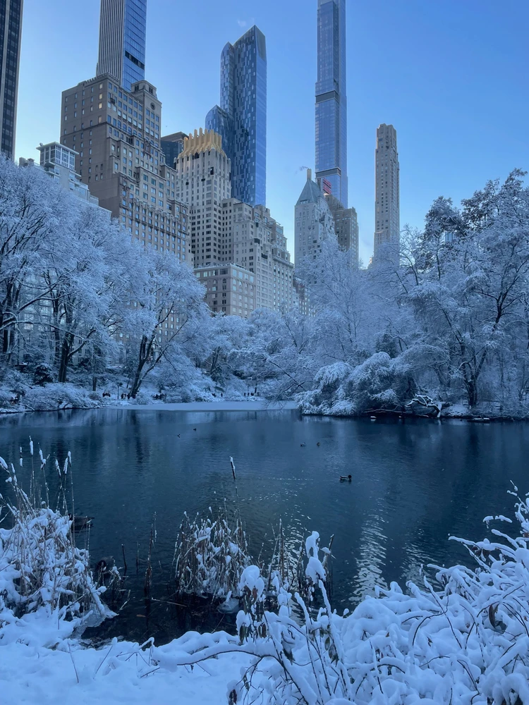 Image uploaded by Dylan Camp