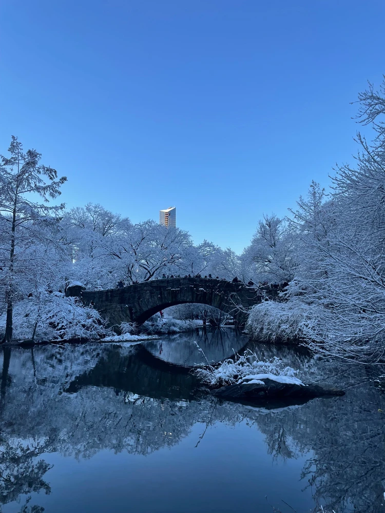 Image uploaded by Dylan Camp