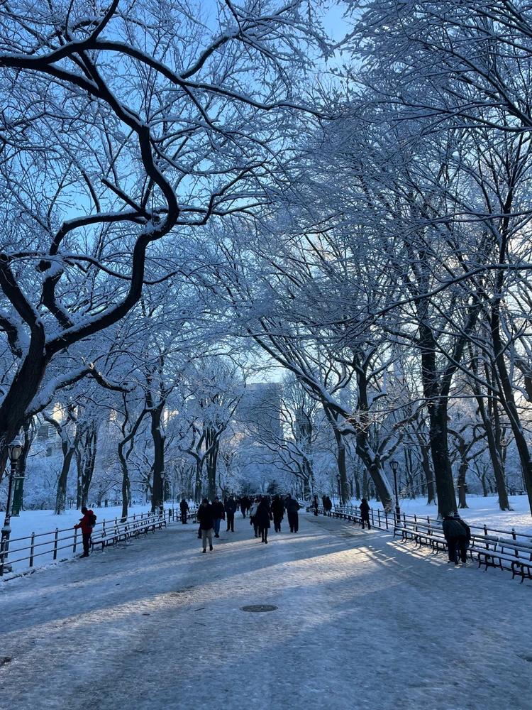 Image uploaded by Dylan Camp
