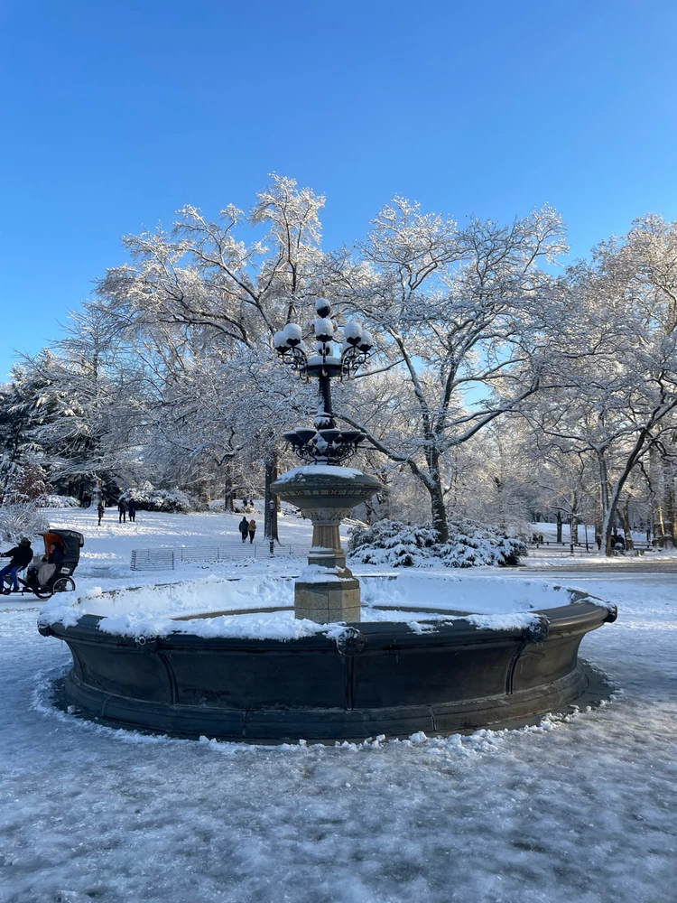 Image uploaded by Dylan Camp