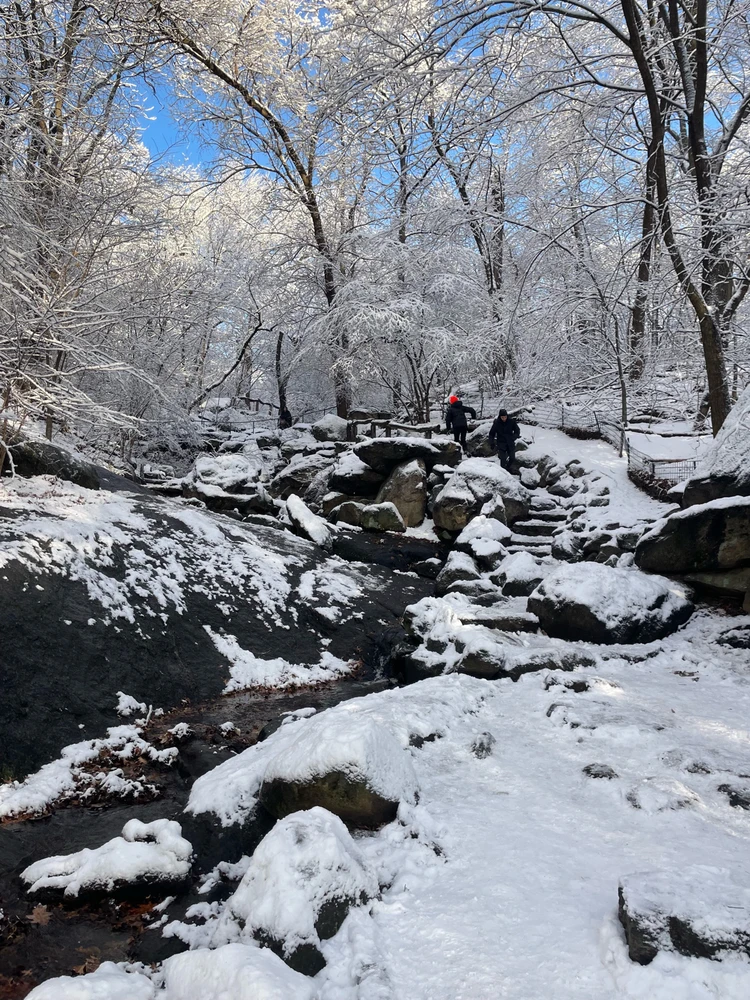 Image uploaded by Dylan Camp