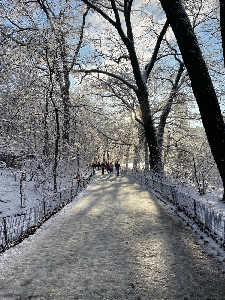 Image uploaded by Dylan Camp