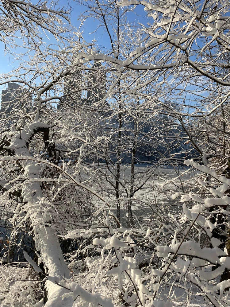 Image uploaded by Dylan Camp