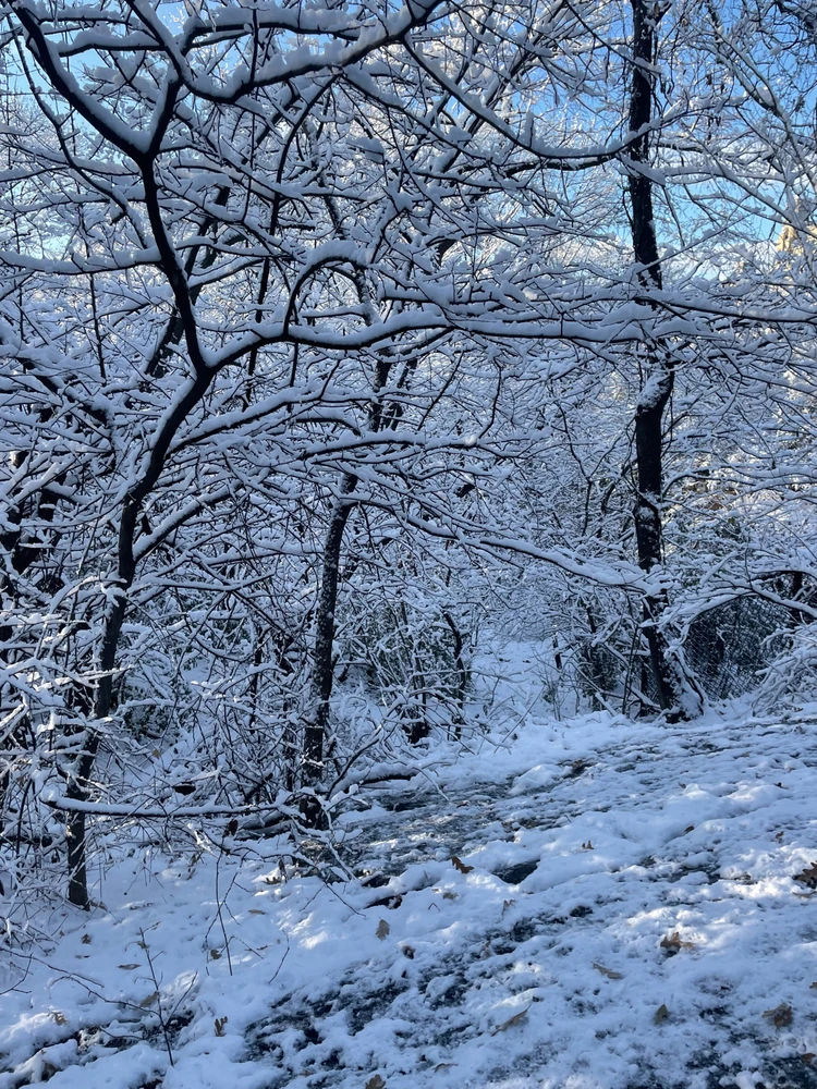 Image uploaded by Dylan Camp
