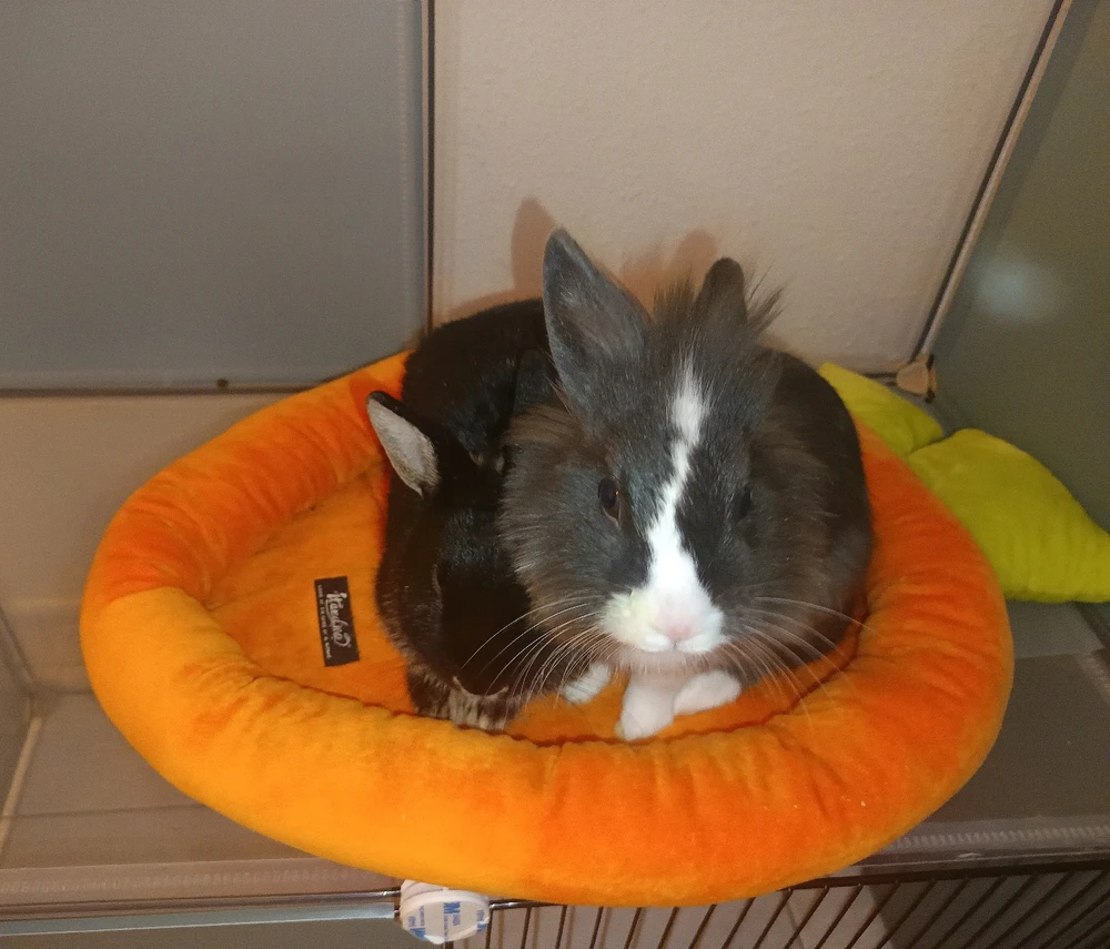 GIF ajouté par Jessy