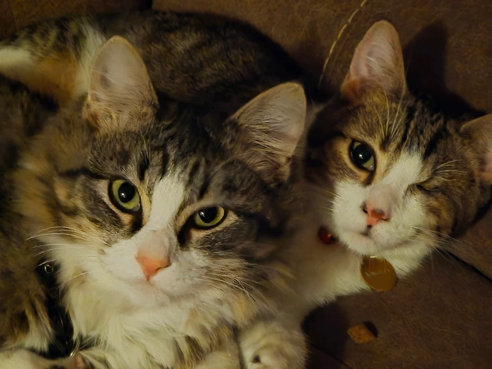 Image uploaded by Leonard Tompkins