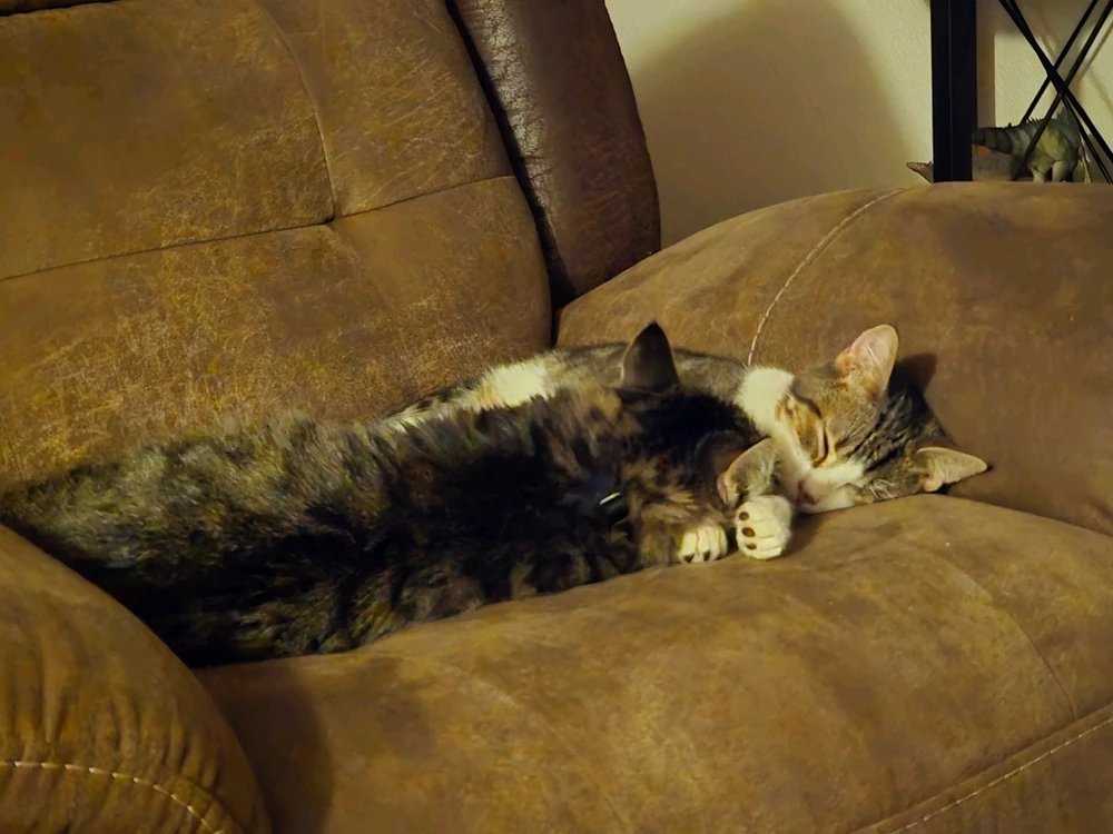 Image uploaded by Leonard Tompkins