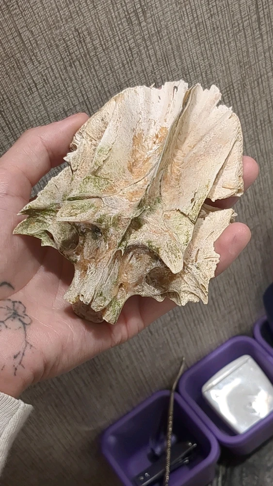 This is also apparently a skill of either a catfish or a bowfin