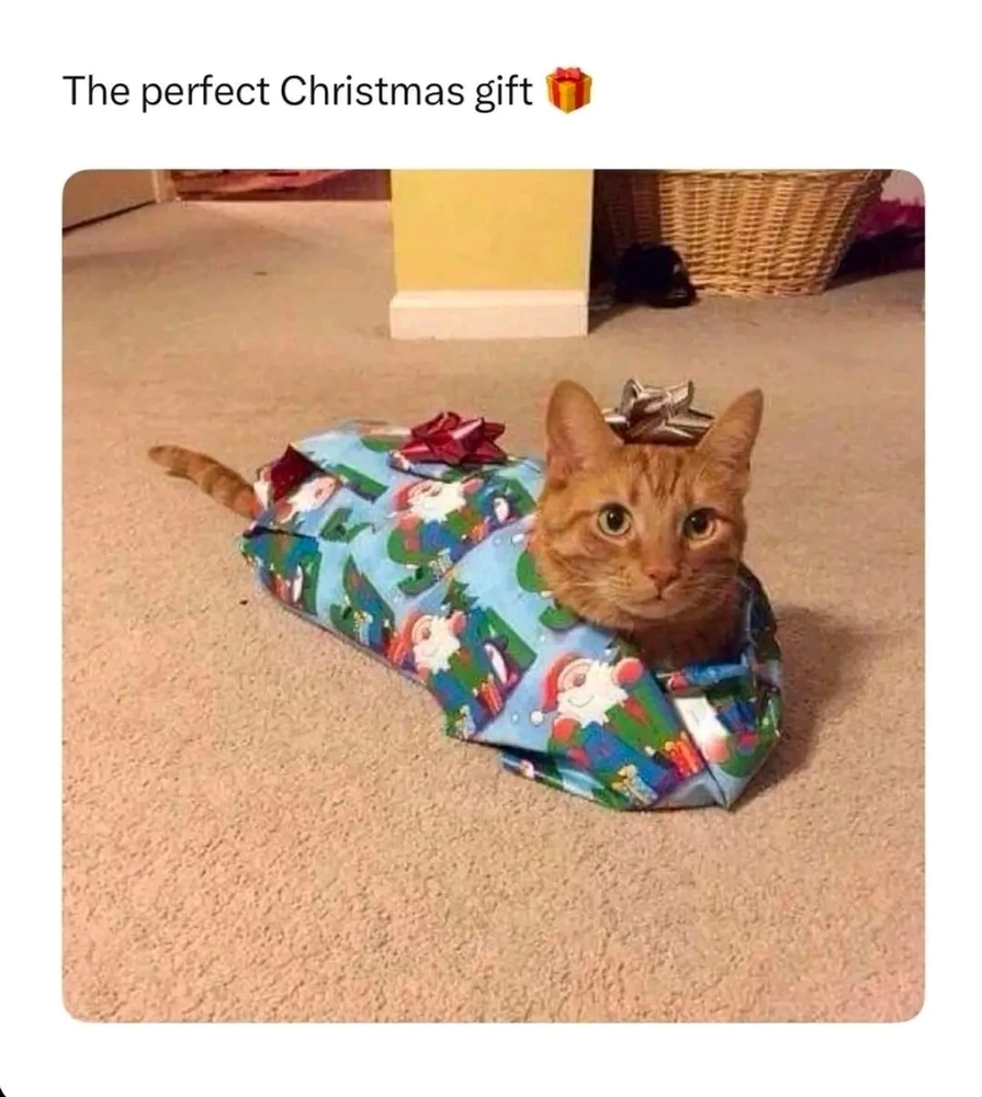 GIF uploaded by ❤ Sophia aka Mango Mami ❤️