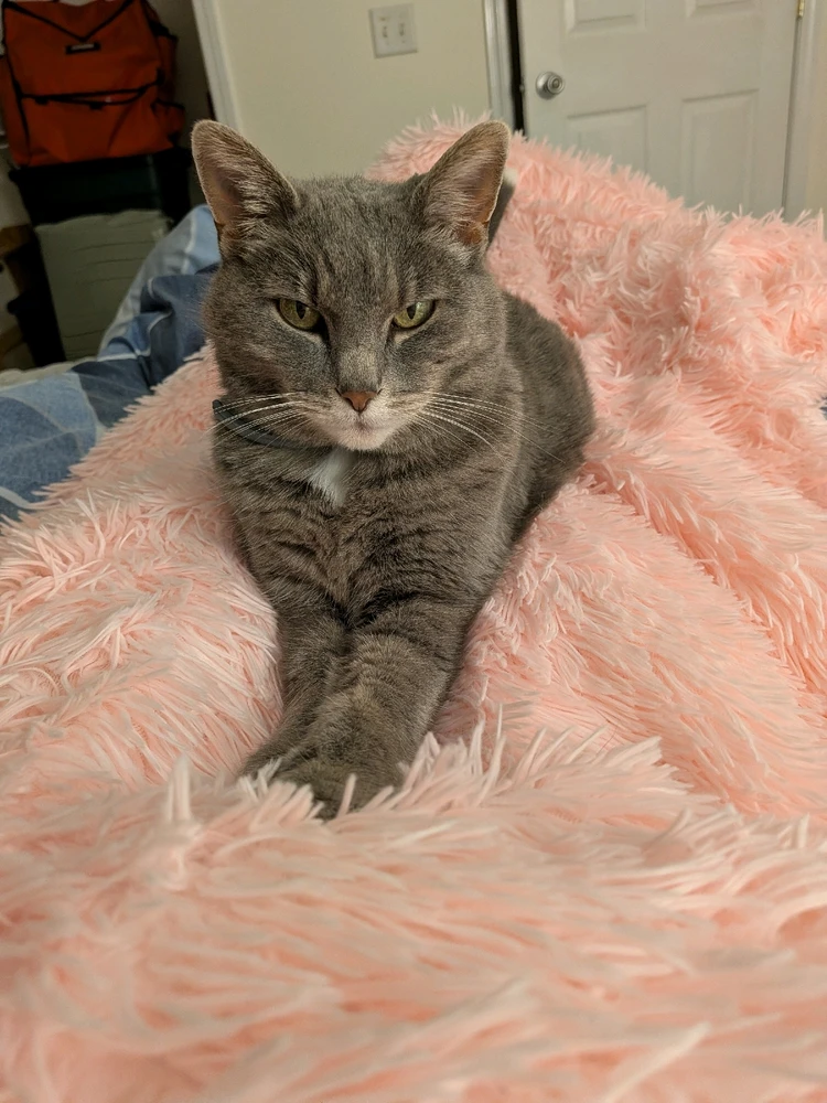 GIF uploaded by Ashley