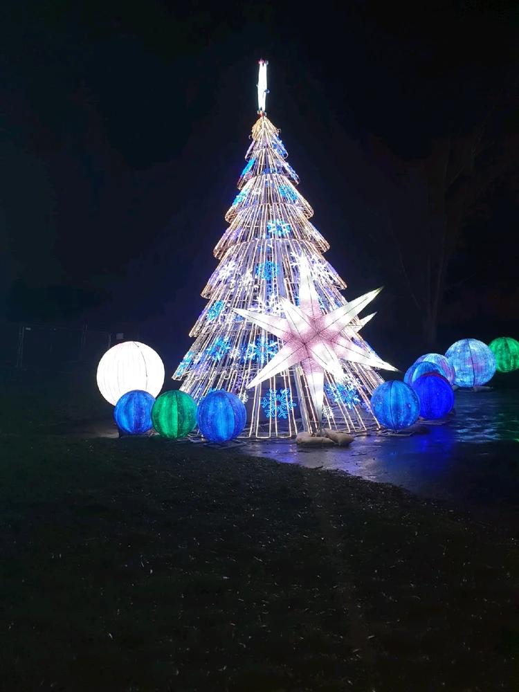 Image uploaded by Brian