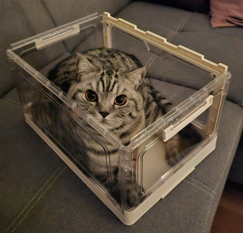 GIF hochgeladen von đđđ€đ€đđđ