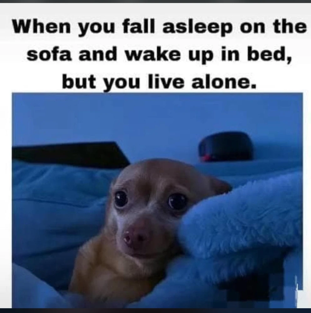 GIF uploaded by Annie