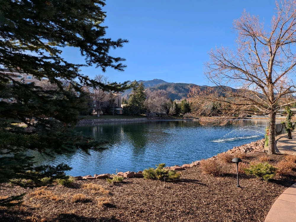 Image uploaded by Rick