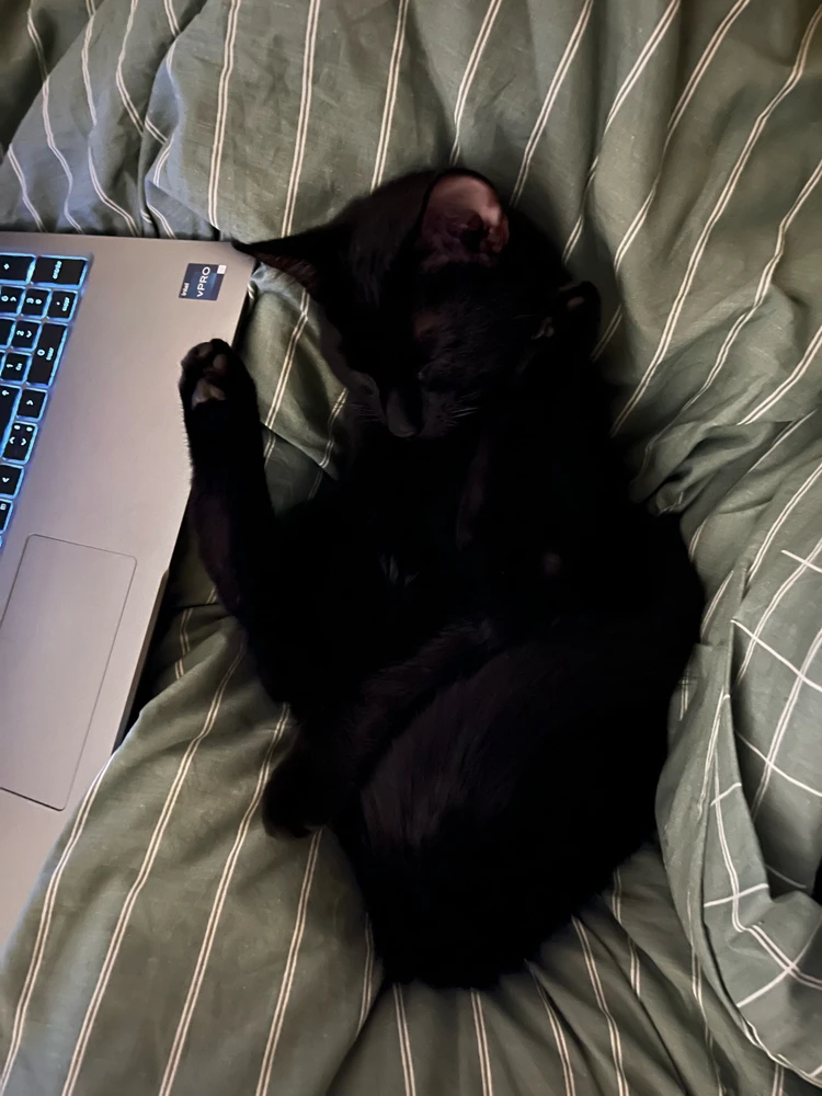 GIF uploaded by Claire