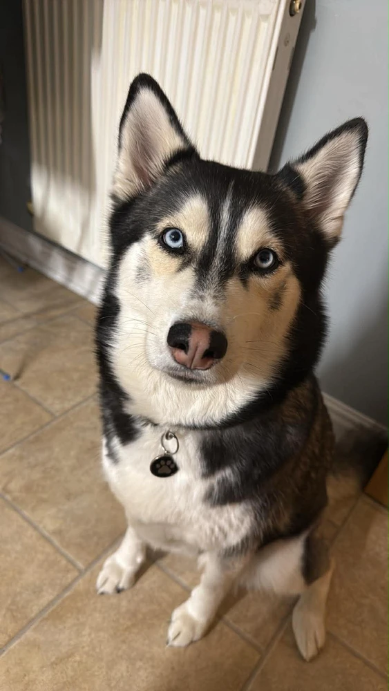 GIF uploaded by Brad