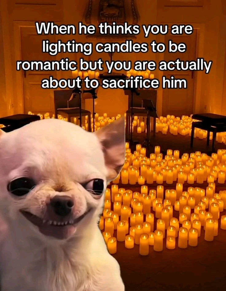 GIF uploaded by JULIETTE