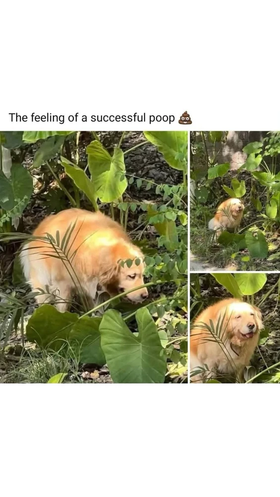 GIF diunggah dening Daniel