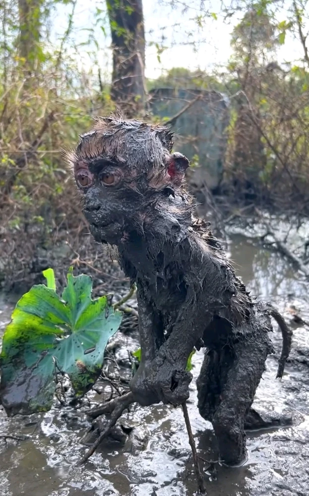 GIF uploaded by Phoebe