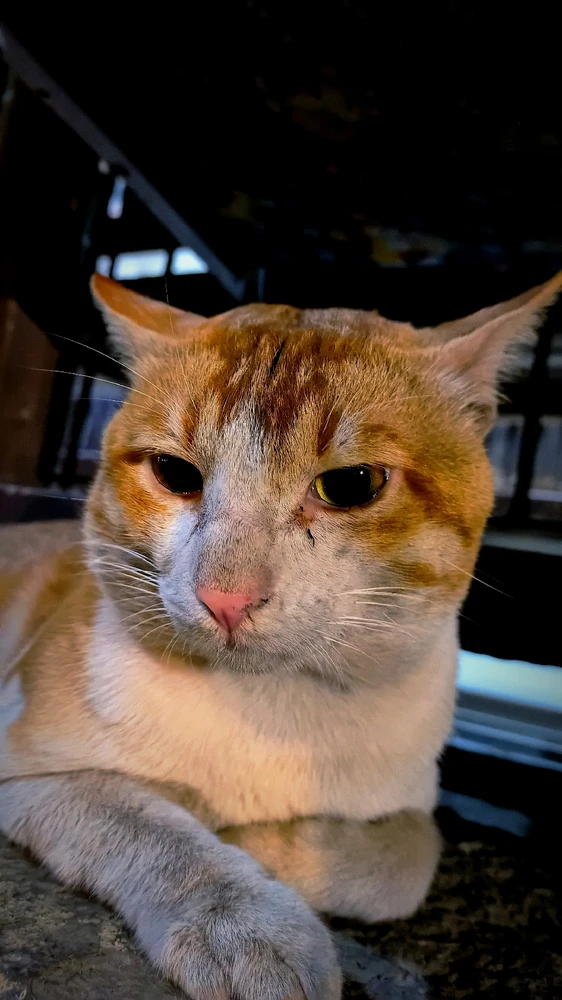 GIF uploaded by Amey