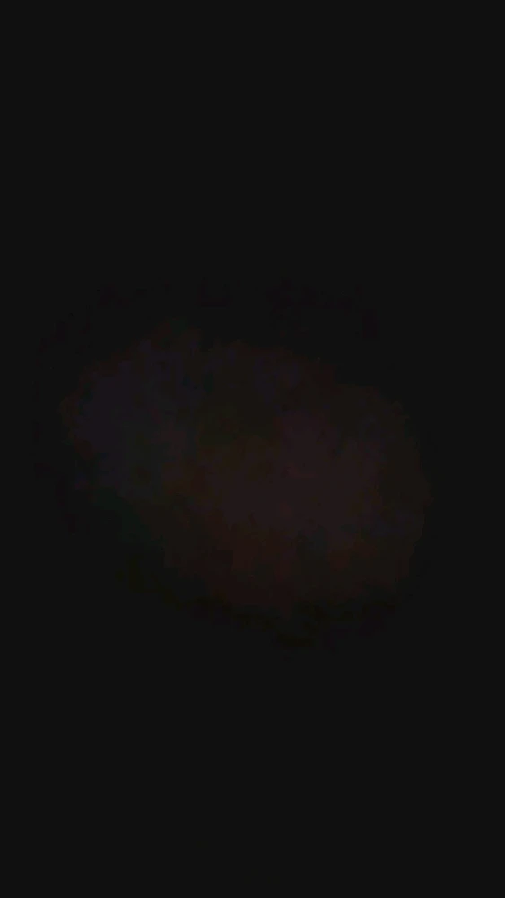 Image uploaded by Ever B